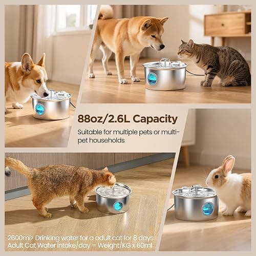 Cat Water Fountain Stainless Steel: 2.6L Cat Fountain for Drinking - Pet Water Fountain for Cats Indoor - Automatic Pet Water Dispenser Bowl - Best Auto Feeding Supplies Gift for Small Dog Large Kitty thumbnail 5