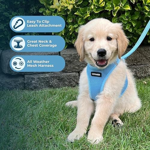 Best Pet Supplies Voyager Step-in Air All Weather Mesh Harness and Reflective Dog 5ft Leash Combo with Neoprene Handle, for Small, Medium and Large Breed Puppies - Baby Blue, XXX-Small thumbnail 5