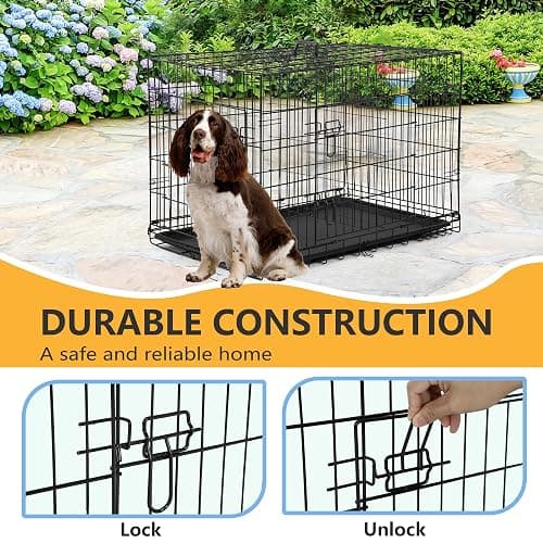 FDW | 36" Foldable Metal Dog Crate | Black | Cage for Medium Dogs | Heavy Duty, Portable Wire Kennel with Double Door, Divider & Leak-Proof Tray | For Training, Home, Travel Indoor/Outdoor Use thumbnail 3