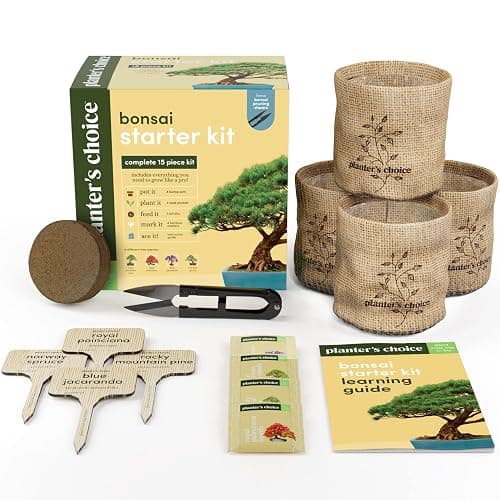 Bonsai Starter Kit thumbnail 8