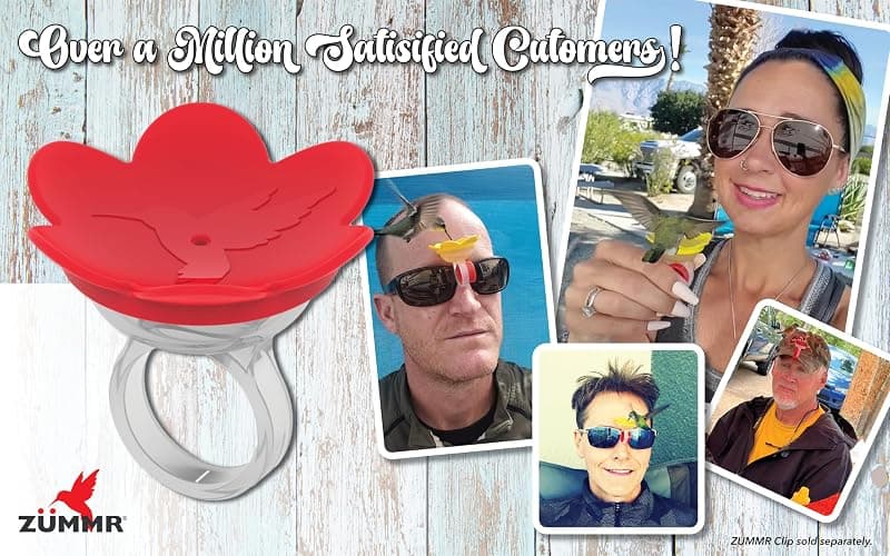 ZUMMR Hummingbird Ring Starter Kit (Red) - Hand Feed Hummingbirds Right in Your Backyard. Get up Close and Personal with Nature. Proudly Made in The U.S.A. - The Original thumbnail 8