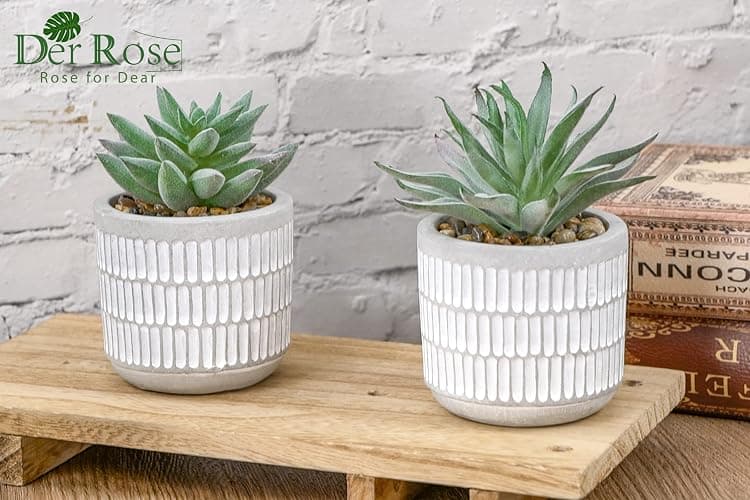 Der Rose Set of 2 Succulents Plants Artificial Fake Cactus Plants for Living Room Bathroom Bedroom Aesthetic Home Shelf Decor thumbnail 7