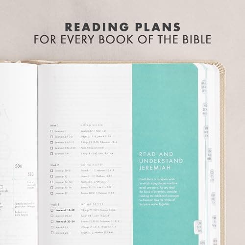 CSB She Reads Truth Bible, Champagne Gold LeatherTouch, Indexed, Black Letter, Full-Color Design, Wide Margins, Journaling Space, Devotionals, Reading Plan, Single-Column, Easy-to-Read Serif Type thumbnail 6