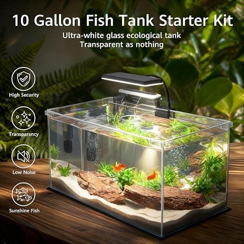 Vimvins 10 Gallon Glass Small Fish Tank with Filter Light and Lid, Aquarium Starter Kit thumbnail 3