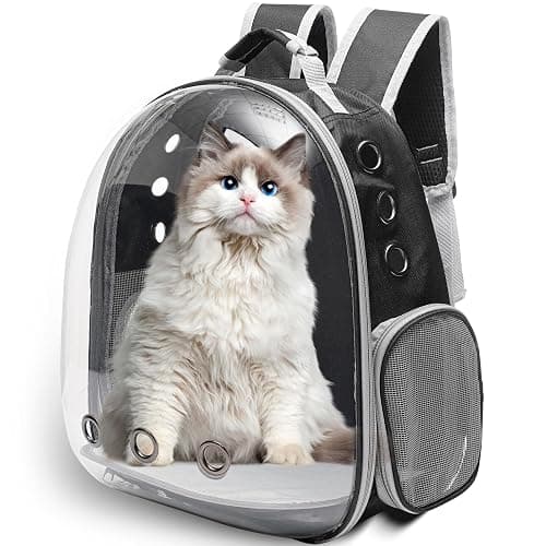 Vivicreate Large Cat Backpack Carrier for Travel and Hiking Transparent Pet Bubble Backpack for Cats up to 20lbs with Ventilation and Padded Straps Mochila para Gatos transportadora mascotas (Black) - Image 1