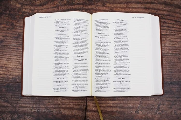 Amplified Journal the Word Bible, Leathersoft, Brown: Reflect, Take Notes, or Create Art Next to Your Favorite Verses thumbnail 5