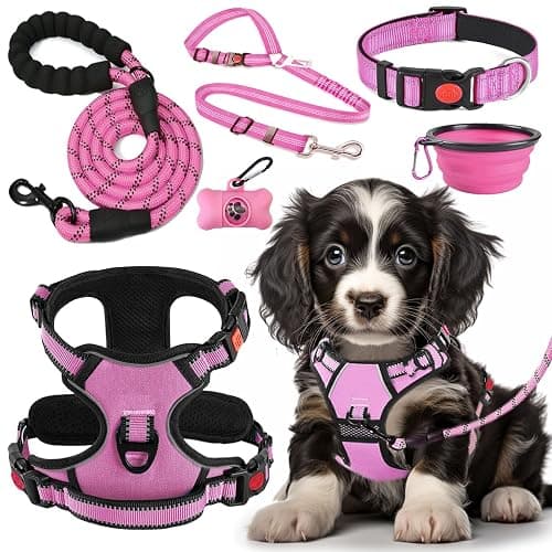 LOBEVE No Pull Dog Harness, Collar & Leash Set | Includes Dog Seat Belt, Collapsible Bowls & Poop Bag Dispenser. Ideal for Training, Walking, Hiking. Fits Small to Large Dogs(Pink-M) - Image 1