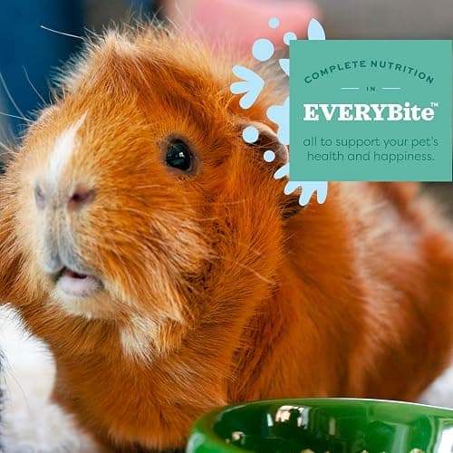 Oxbow Essentials Guinea Pig Food, Adult Guinea Pig, Made with Oxbow Timothy Hay, Pet Food Pellets with Vitamin C, Small Animal Pet Products, Made in USA, High Fiber, 10 lb. bag thumbnail 6