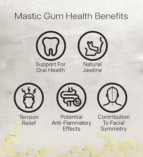 Cerez Pazari Natural Mastic Gum 0.71 oz (20g), Greek Chios Pure Resin, Sugarless Gum Made From Resin Of Mastiha Trees, Jaw Exerciser, Vegan, Non-GMO thumbnail 8