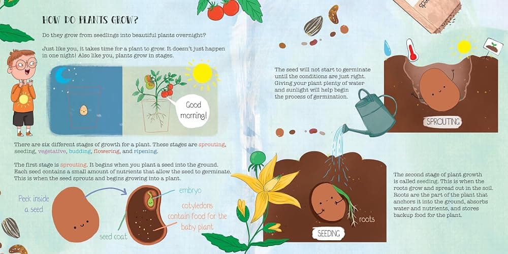 How Do Seeds Grow Into Gardens?: A Hands-On Book About Gardening thumbnail 6