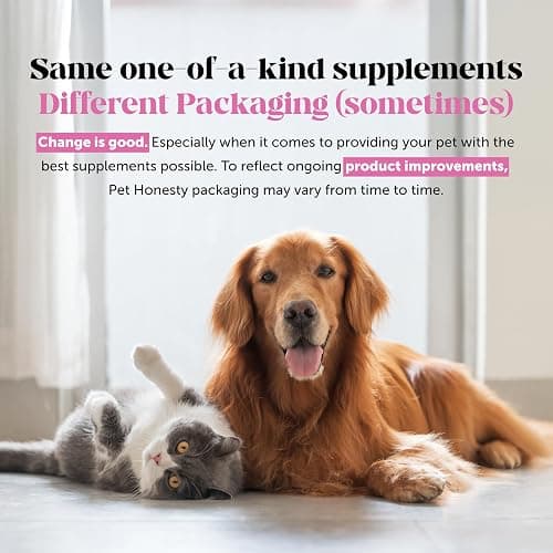 Cat Multivitamin Crunchy & Creamy Chews - Cat Treats for Health + Immune, Joint Support, Skin & Coat, & Digestion - Vitamins with Omega 3s, Lysine & Probiotics (30 Day Supply) thumbnail 9