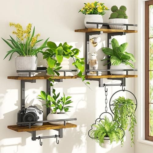 iDavosic.ly Wall Plant Holder Set of 2, 2 Tier Indoor Floating Shelves with 4 Hooks for Hanging Plants, Wall Mounted Space Saving Display Stand for Living Room Bedroom (Pots/Chains Not Included) - Image 1