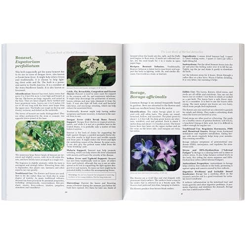 The Lost Book of Herbal Remedies thumbnail 5