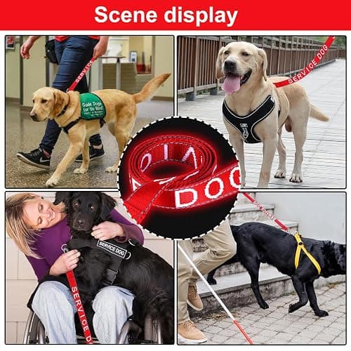 YeeBeny Service Dog Leash Emotional Support Leash Red 0.94 Width | service dog collarwith Neoprene Handle and Reflective Lettering, Service Dog Stuff for Vest for Harnesses, Vests or Collars thumbnail 6
