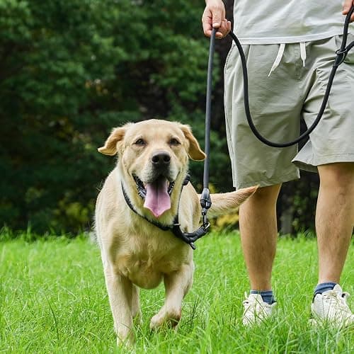 MORXIL Rope Dog Leash, 6 Foot Heavy Duty Dog Leash with Aviation Aluminum Auto Locking Carabiner, Strong Nylon Pet Lead for Small, Medium, Large Dogs (Blue, 6FT) thumbnail 5