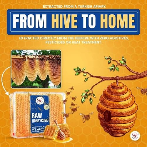 Taj Gourmet All Natural Raw Honeycomb 100% Honey Pure Turkish Raw Honey Comb -100% All Natural Edible Honey Combs Raw Edible - Perfect For Healthy Smoothies Honey With Honeycomb, 200g (7.05oz) thumbnail 6