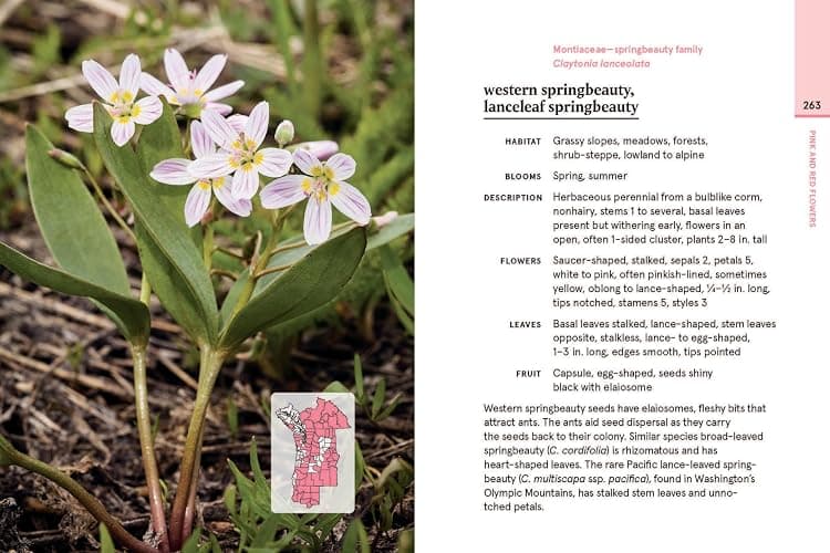 Western Washington and Oregon in Bloom: Find and Identify the 150 Most Common Wildflowers thumbnail 6