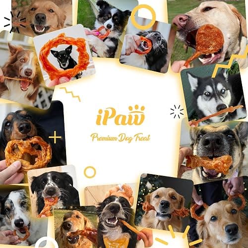 iPaw Turkey Tendons for Dogs 40 Pcs Bulk Pack, 100% Turkey and US Sourced Raw Material, Hypoallergenic, All Natural Human Grade Puppy Chew, Rawhide Alternative Dog Treats, Lollipop (Small) thumbnail 6