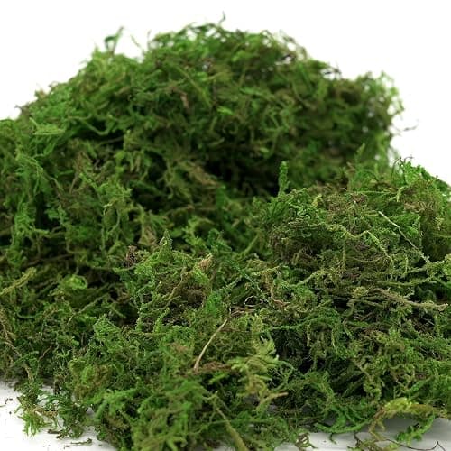 USMOLA Artificial Moss, 16OZ Fake Moss for Crafts, Decorative Centerpieces, Fairy Garden, Wedding Party Decor, Faux Potted Plants, 455gr (Fresh Green) thumbnail 5