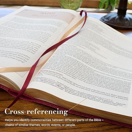 The Spiritual Growth Bible, Study Bible, NLT - New Living Translation Holy Bible, Faux Leather, Pearlescent Taupe (NLT Spiritual Growth Editions) thumbnail 7