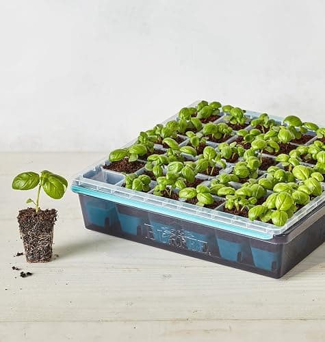 Burpee SuperSeed Seed Starting Tray | 36 Cell Reusable Seed Starter Tray | for Starting Vegetable, Flower & Herb Seeds | Indoor Grow Kit for Plant Seedlings | for Germination Success thumbnail 6