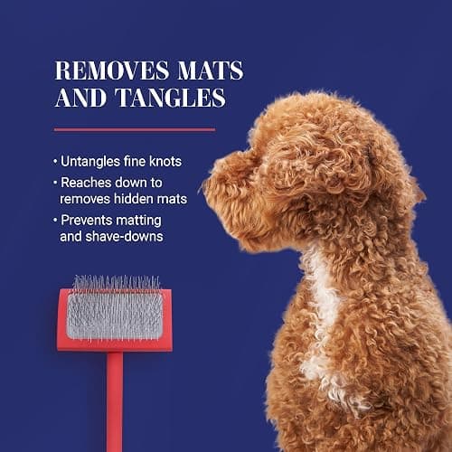 Chris Christensen Big G Dog Slicker Brush for Dogs (Goldendoodles, Labradoodles, Poodles), Groom Like a Professional, Fluff Detangle Style, Saves Time Energy, Coral, Large thumbnail 6