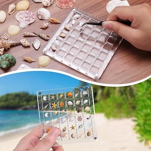 XANGNIER Acrylic Magnetic Seashell Display Box,Clear Sea Shell Display Box,Beach Magnet Storage Organizer Case for Seashell Diamond Beads,36 Grids,Transparent,1 Pack thumbnail 6