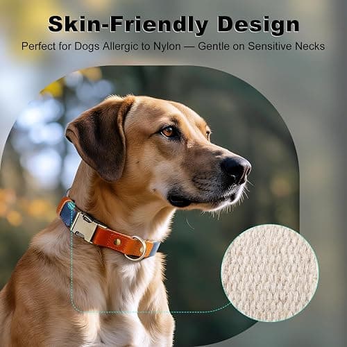 Plutus Pet Genuine Leather & Hemp Dog Collar – Adjustable Heavy Duty Pet Collar with Quick Release Metal Buckle, Soft & Stylish for Puppy and Small, Medium, Large Dogs (Royal Blue, M) thumbnail 4
