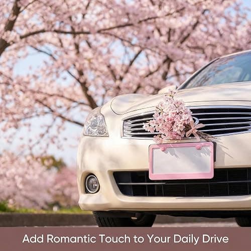 Fashion 2 Pack Matte Cherry Baby Pink License Plate Frames, Stainless Steel Car License Plate Cover Accessories with Screw Caps thumbnail 3