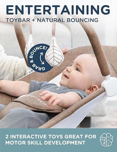 Baby Delight Highland Baby Bouncer | Infant | 0 – 6 Months | 3-Position Recline | Mocha Tweed thumbnail 2