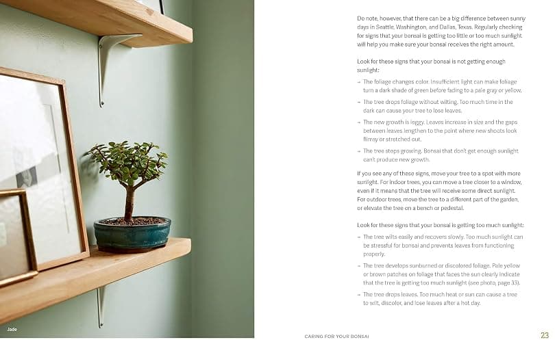 The Little Book of Bonsai: An Easy Guide to Caring for Your Bonsai Tree thumbnail 4