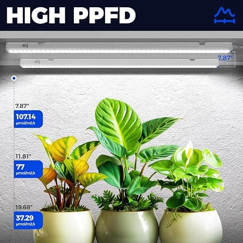 Barrina T5 Grow Lights, 5000K White Full Spectrum LED Grow Light, 2ft 80W (8 x 10W) Plant Grow Lights for Indoor Plants, Plug and Play, 8-Pack thumbnail 3