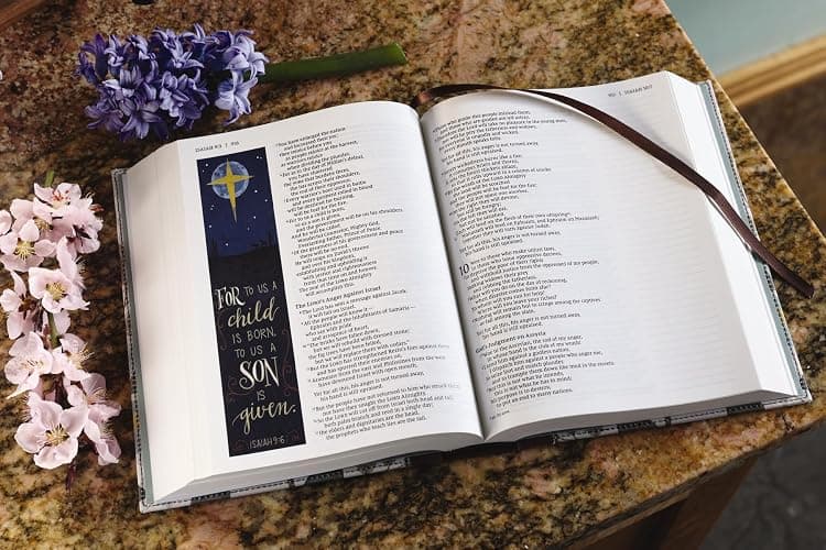 NIV, Beautiful Word Bible, Updated Edition, Journal Edition for Women, 600+ Full-Color Illustrated Verses, Peel/Stick Bible Tabs, Floral Cloth over Board, Red Letter, Comfort Print thumbnail 11