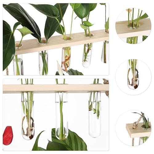 YIBOT Propagation Stations,3 Tiered of Propagation Tubes with Wooden Stand,Mini Glass Test Tubes Vase,Plant Terrarium for Hydroponic Home Garden Office Decor, Gardening Gift for Women Plant Lover thumbnail 5