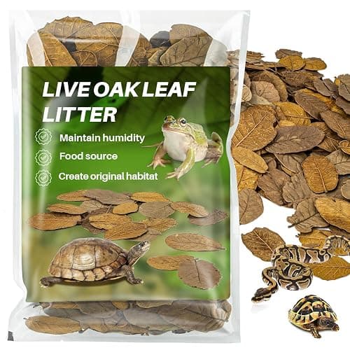 MAQIHAN 11.3 OZ Dry Oak Leaf Litter - Leaf Litter for Reptiles Oak Leaves for Isopods Live Substrate for Snakes, Frogs, Isopods, Terrarium Bedding - Image 1