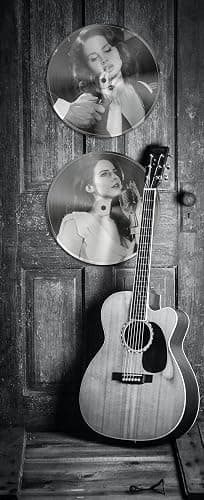 GIFTSFARM Lana Del Rey Vinyl Record Wall Decor, Lana Del Rey Merch, Room Decor (11.6 Inch, Set of 2) thumbnail 4
