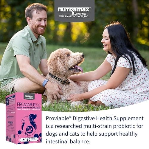 Nutramax Proviable Probiotics + Prebiotics, for Dogs & Cats, Capsules, 80ct | Probiotics and Prebiotics for Cats and Dogs, Daily Gut Health Support Supplement, Multiple Strains, Sprinkle on Food thumbnail 3