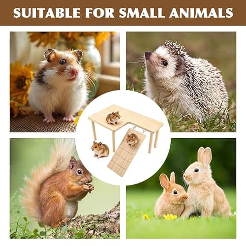 Wooden Hamster Platform for Cage | Durable Climbing Perch Chew Toy for Hamsters Gerbils Mice Degus thumbnail 4