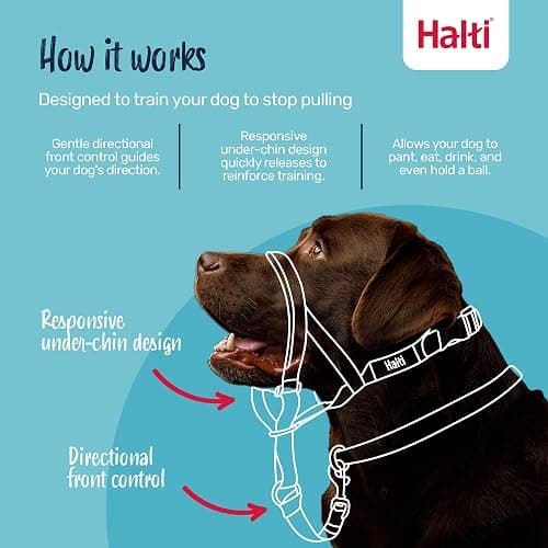 Halti Headcollar | Size 3, Black | Training Collar for Medium Dogs | Stop Your Dog Pulling on the Leash | Adjustable, Reflective & Lightweight with Padded Nose Band thumbnail 2