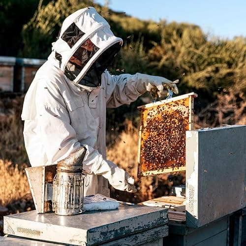 HARFINGTON Bee Suit for Men Women XXL Beekeeping Suit Outfit with Gloves and Veil Hood (Jacket, Pants, Gloves) Bee Suits for Adult Backyard Professional and Beginner Bee Keeper, Coffee thumbnail 2