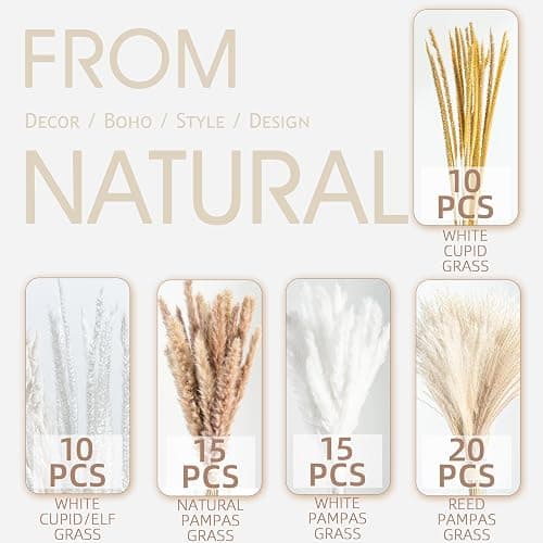 70PCS Natural Dried Pampas Grass Boho Home Decor Bouquet Phragmites Dried Flowers Bouquet for Wedding Floral Arrangements Home Decorations (70PCS) thumbnail 4