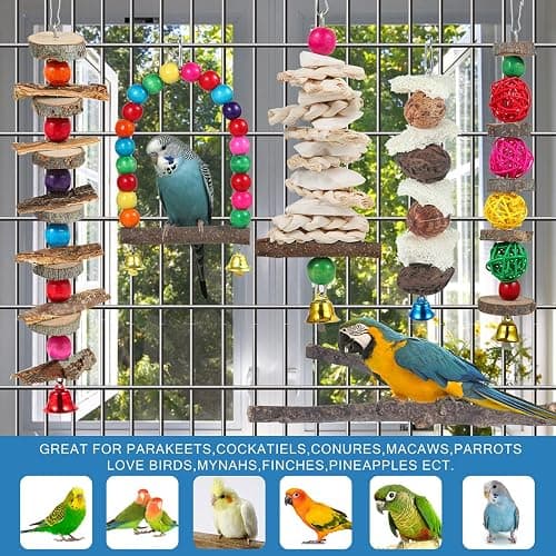 Bird Perch & Toys - 6 Pack Accessories, Wooden Chew Toys & Perch Stand for Parakeet, Conure, Cockatiel, Lovebird, Parrotlet, Budgie, Finches & Other Small to Medium Sized Birds thumbnail 5