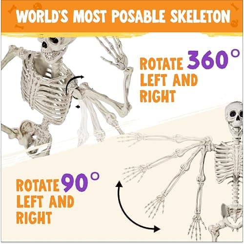 JOYIN 5.6 FT Halloween Posable Life Size Skeleton Full Body Realistic Bones with Movable Joints for Halloween Indoor and Outdoor Decoration Props Spooky Scene Party Decorations (White) thumbnail 5