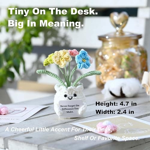 YOOJEE Forget-Me-Not Crochet Flower Potted Plant Gift | Difference You Make Gift, PET Display Box, Teacher Appreciation, Coworker, Employee, Thank You Gift, Handmade Desk Decor thumbnail 9