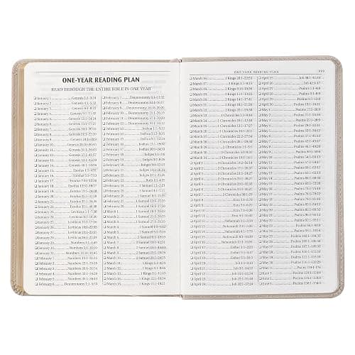 KJV Holy Bible, Compact Vegan Leather Red Letter Edition - Ribbon Marker, King James Version, Taupe (KJV Compact Editions) thumbnail 5