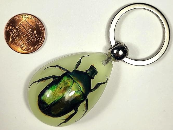 HQRP-Crystal 45mm Real Emerald Green Chafer Beetle in Glow in The Dark Lucite Keychain Insect Animal Taxidermy Sample Inside for Biology Science Education Decoration Tear Drop Key Ring Chain Pendant thumbnail 3