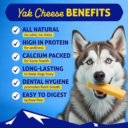 Himalayan Dog Chew Original Yak Cheese Chew, 1 Large Stick, 3.3 oz, Gluten Free, Healthy Treats, Grain & Lactose Free 100% Natural, Long Lasting for Dogs Under 55 lbs thumbnail 2