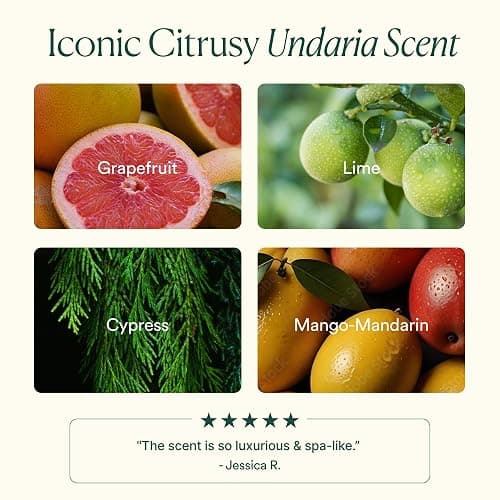 OSEA Undaria Algae Body Oil 5 oz – Visibly Firming, Deeply Moisturizing, Instantly Improve Elasticity, Clean Lightweight Non-Greasy Hydration, Vegan & Cruelty-Free Seaweed Skincare thumbnail 6