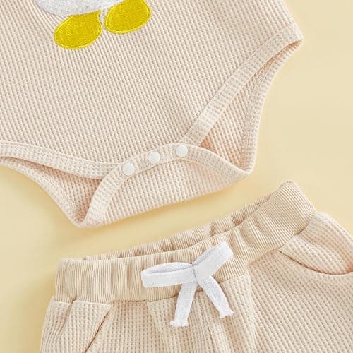 FYBITBO Newborn Baby Girl Summer Shorts Clothes Goose Embroidery Short Sleeve Romper Waffle Shorts Set One Silly Goose Outfit thumbnail 6