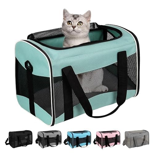 Cat Carrying Case Pet Dog Carrier Soft-Sided Cat Bag Airline Approved, Pet Travel Carrier Up to 15 Lbs, Collapsible Cats Carrier Dog Carrier for Medium Small Cats Dogs(17x11x11 Green) - Image 1
